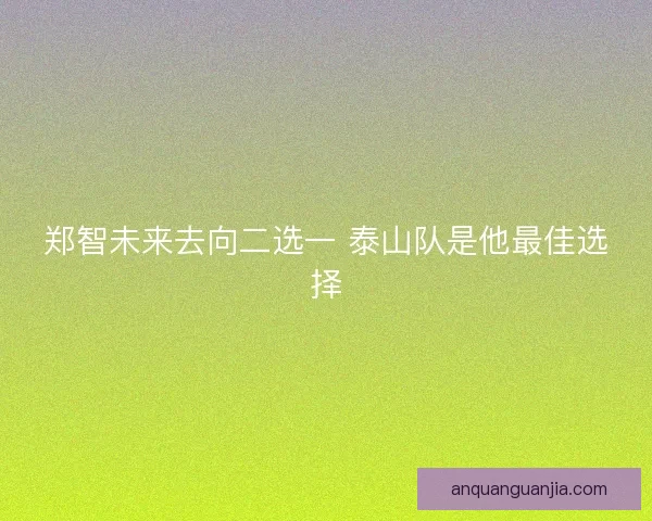 郑智未来去向二选一 泰山队是他最佳选择