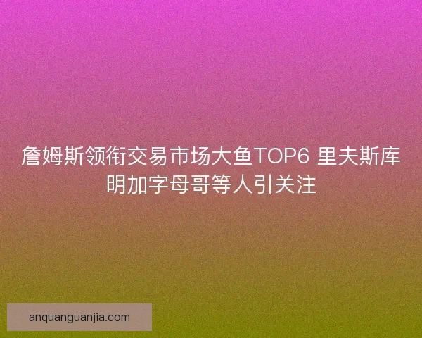 詹姆斯领衔交易市场大鱼TOP6 里夫斯库明加字母哥等人引关注 詹姆斯领衔交易市场大鱼TOP6 里夫斯库明加字母哥等人引关注