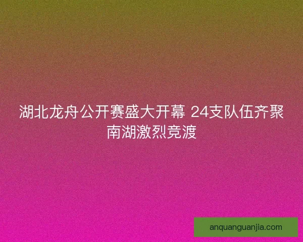 湖北龙舟公开赛盛大开幕 24支队伍齐聚南湖激烈竞渡